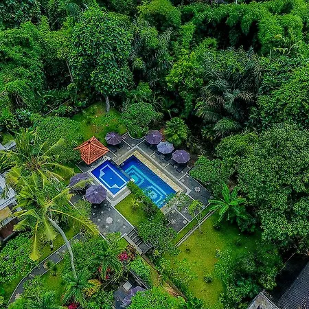 Alas Petulu Villa Resort And Spa-3